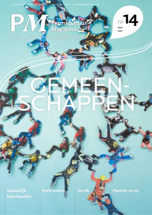 Illustratie