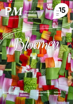Illustratie