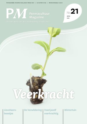 Illustratie