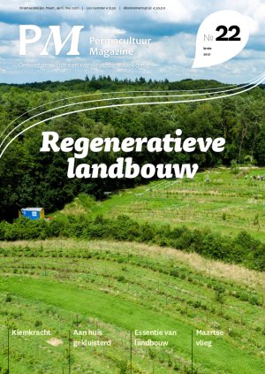 Illustratie